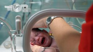 Ще изчезнат ли българите