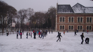 Дървена ваканция в 5 общини във Варна ще се учи
