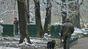 Вандали отрязали кабели на над 400 стълба в София