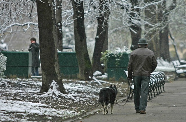 Вандали отрязали кабели на над 400 стълба в София