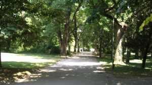 Общинари искат историческата част от Морската градина