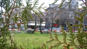 Общинари канят на протест срещу реститути