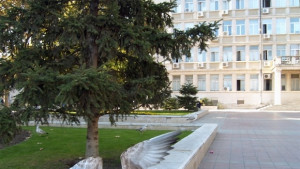 Горещи телефони приемат сигнали за птичи грип