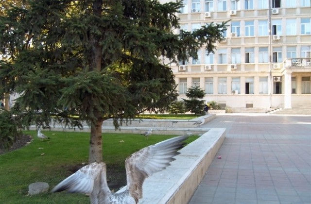 Горещи телефони приемат сигнали за птичи грип