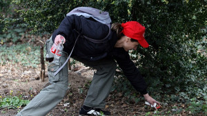 В София започва голямото пролетно почистване