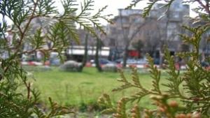 Организират акция в защита на зелена зона