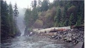 Честваме Деня на водата