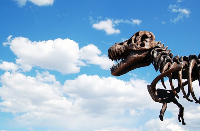 Откриха скелет на нов вид динозавър в САЩ