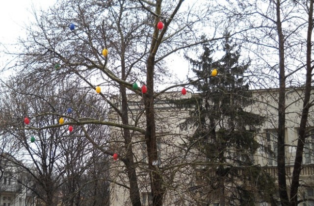 Поставиха  великденска украса  в центъра на Добрич