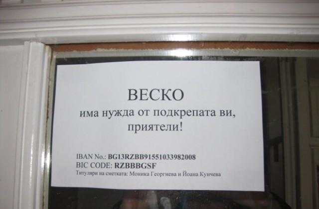 Благотворителен търг в СОУ Христо Ботев