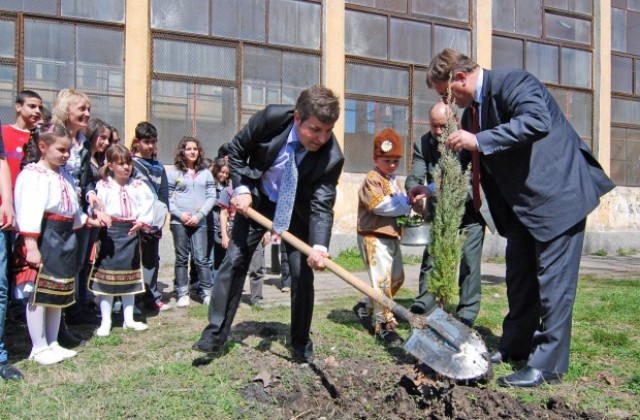 Областният засади аризонски кипарис