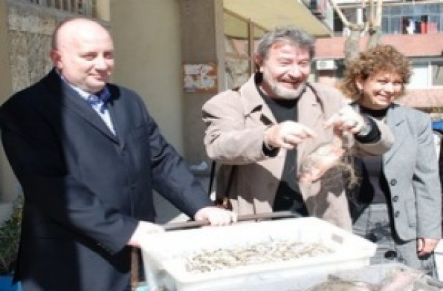 Таранка и атерина за бедните