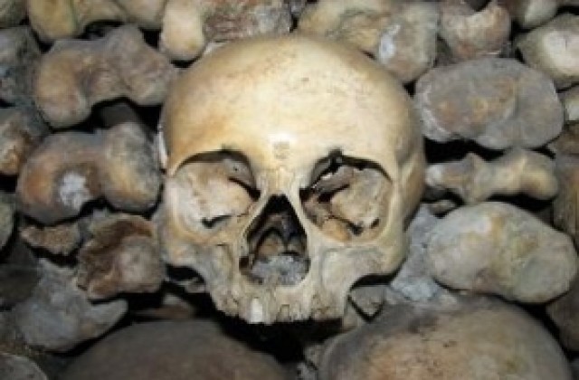 Човешки череп, древни монети и гривни откриха в дома на иманяр
