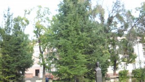 На Велики четвъртък деца украсяват Великденско дърво