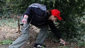 Хиляди се включиха в пролетното почистване на София