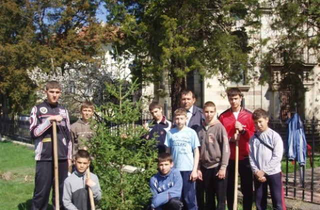 Ученици от Бяла засадиха дървета