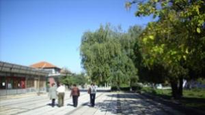 В Дома в Крушари тече проверка