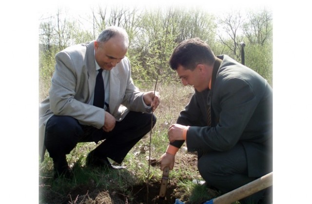 Засадиха 200 акациеви дръвчета