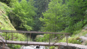 Обмислят такса Гора за водата