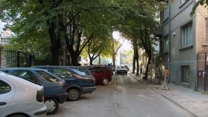 Затварят Aдвокатската градинка заради ремонти