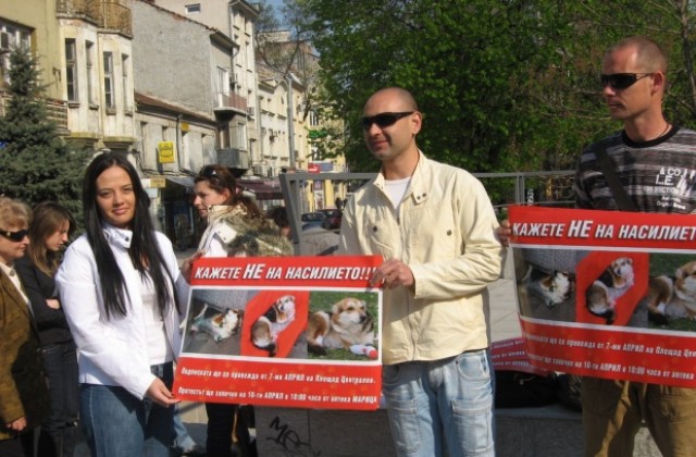 Защитници на животни протестираха в Пловдив срещу насилието