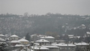 Изложба На дряновци с любов