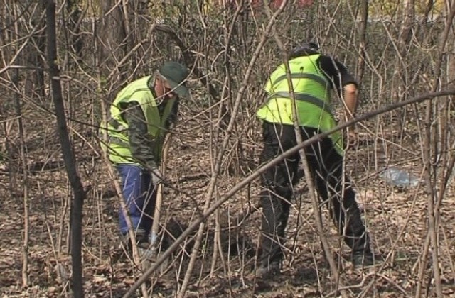 7000 дръвчета засадиха в Долна Митрополия