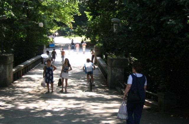 Населението на Варна се увеличава, жените повече от мъжете