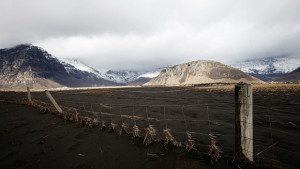 Природата върна Европа обратно във времето