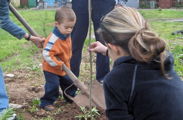 Пролетно почистване и разкрасяване на Враца