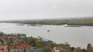 Благотворителна изложба за Центъра за опазване на влажните зони в