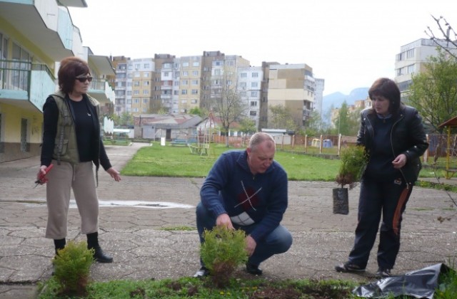 И сините от Враца се включиха в Седмицата на гората