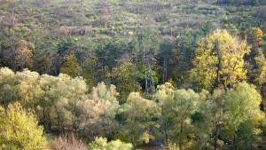 Кампания Зелена генерация стартира по повод Деня на Земята