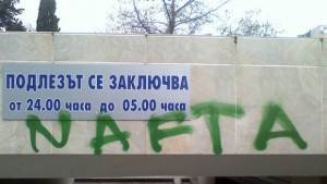 Доморасъл Леонардо обезобрази подлеза