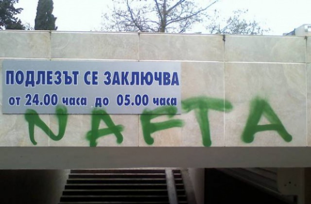Доморасъл Леонардо обезобрази подлеза