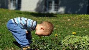 РИОСВВраца с множество мероприятия за Деня на Земята