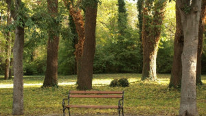 Залесителна акция в училищата по повод Деня на земята