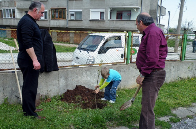 БСП - Враца залеси детска градина