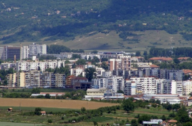 Кампания по засаждане на декоративни дървета в Севлиево