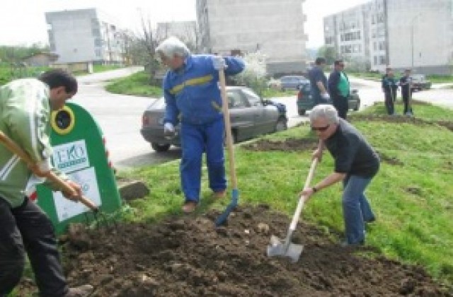 Тревненски общинари садят дръвчета