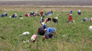 Форум дискутира развитието на хидромелиорациите