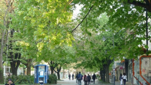 Започват Майските празници на културата