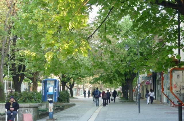 Започват Майските празници на културата