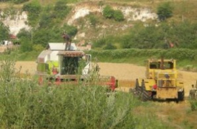 Земеделските стопани трябва да декларират доходите си