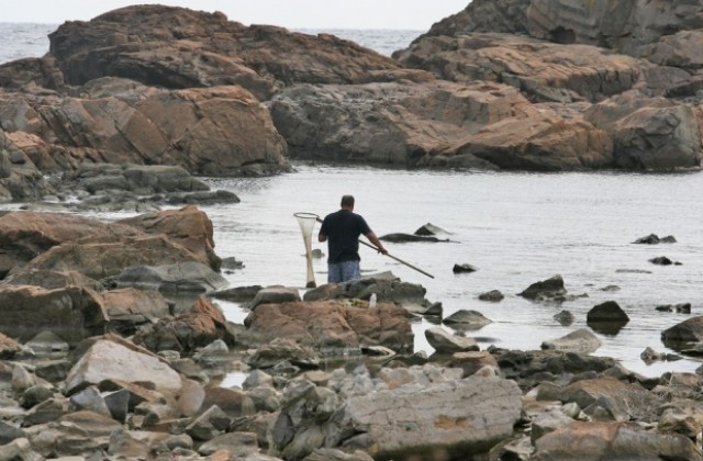Рибари останаха без мрежи заради бракониерство