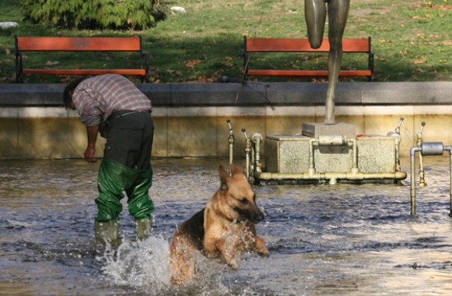 Слагат табели на кучешките алеи в парковете