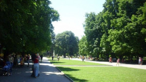 Вълшебната завеса гостува на плевенските деца