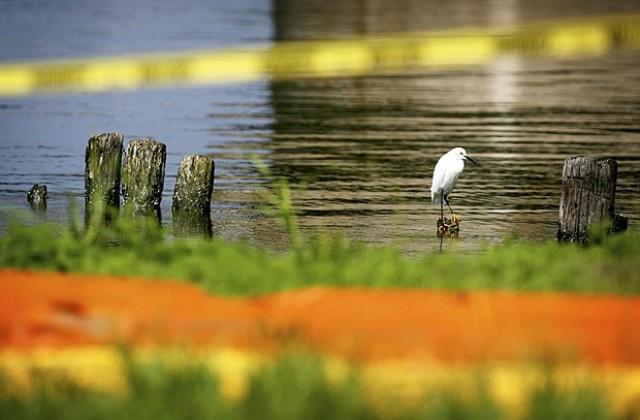 Петролни петна по имиджа