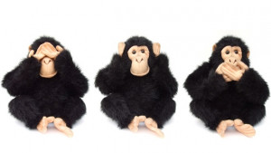 Журналисткомпютърпишеща маймуна