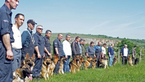 Полицейски кучета се състезават в Берковица